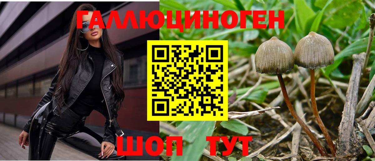 Псилоцибиновые грибы ЛСД Улан-Удэ