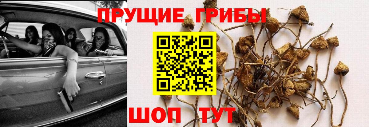 Улан-Удэ  Галлюциногенные грибы мухоморы  наркошоп  Вход с VPN 
